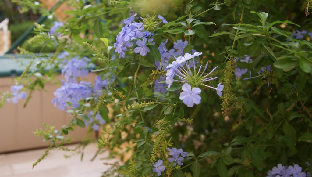 La Bohemia Hills Apartment Altea